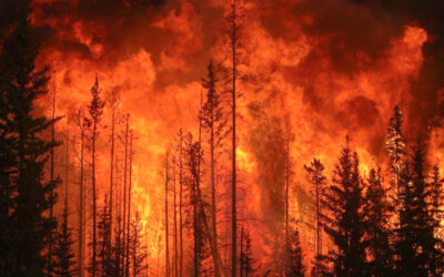 Arizona Fire Reflects Opportunity Burning