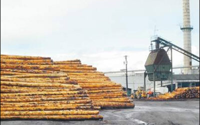 Old Plywood Mills Don’t Always Fade Away